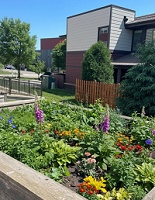 Novation Senior Commons